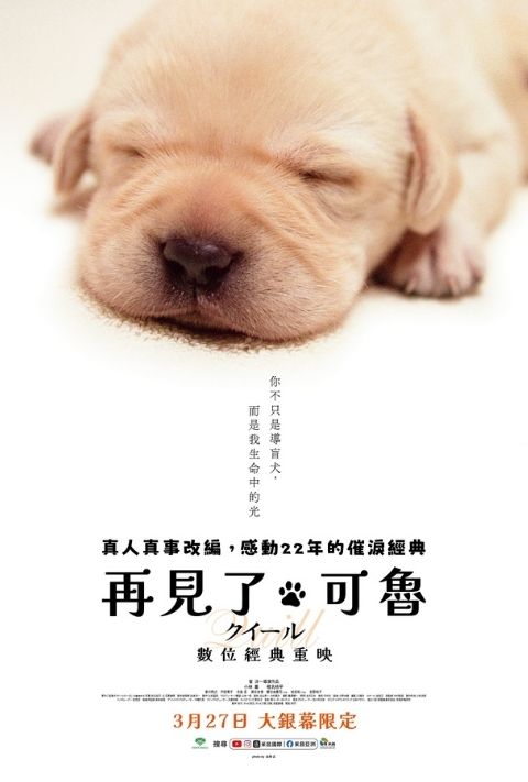 【限時贈票】《再見了，可魯：數位經典重映》全期電影交換券