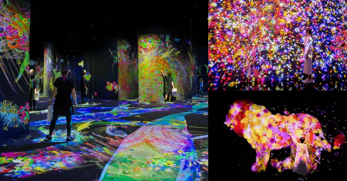 「teamLab」台北睽違4年再開展!一生一定要看一次的展覽,時間、地點、票價先公開!