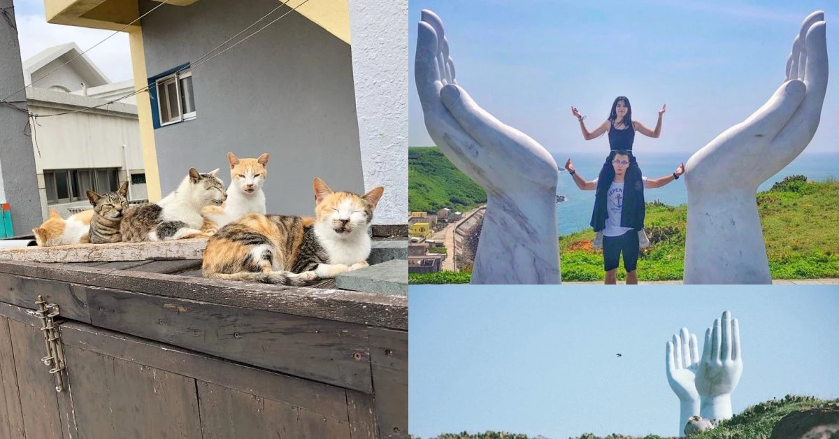 全球十大秘島其中一座在台灣！澎湖「虎井嶼」玩點大公開，巨手追日、超萌貓島好療癒