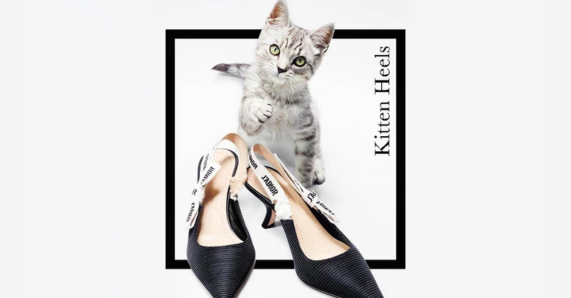 舒適與時尚的結合,奧黛麗赫本也愛的 Kitten Heels 低跟鞋
