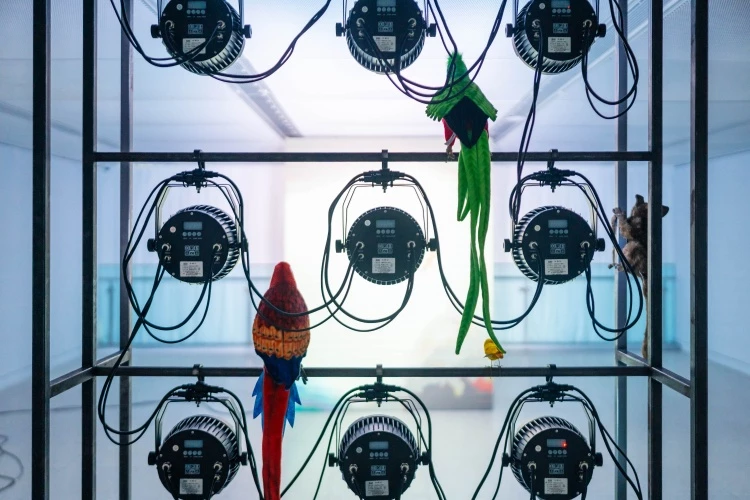 日本藝術家山內祥太擅長將身體感知與情感置於高速發展的科技語境中。作品《安魂曲》（Requiem, 2022）取材自〈布萊梅樂隊〉，疫情期間以 Skype 與 FaceRig 虛擬替身軟體邀友人演出，透過分置的電腦同步拍攝，隱喻隔離、遠距與角色扮演的處境。