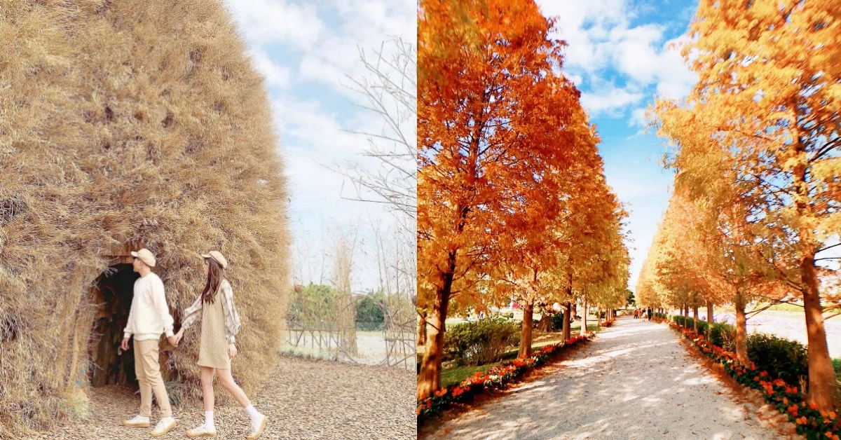 IG這個地方被讚爆!媲美日本「兼六園」,彰化成美文化園比畫還美