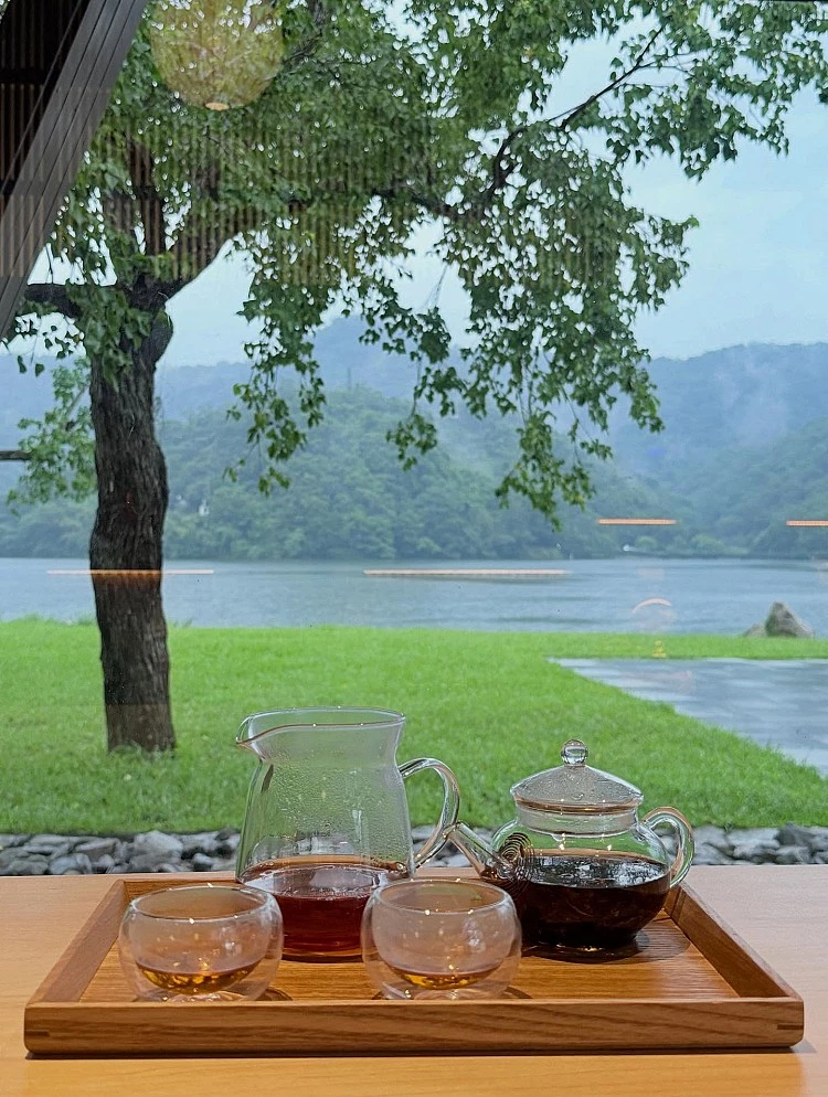 湖畔茶屋外觀以深色貨櫃屋構築,四周被龍潭湖的綠地與步道包圍,前方延伸著一片開闊草坪,湖光與草色在此交錯,形成一處同時擁抱湖景與自然綠意的放鬆場域,非常值得在這裡度過慵懶的午後。