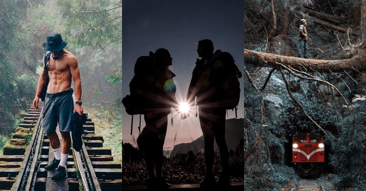 阿里山鐵路「眠月線」洗版IG!月光下的秘密仙境,隧道盡頭直接帶你通往宮崎駿的魔法世界!