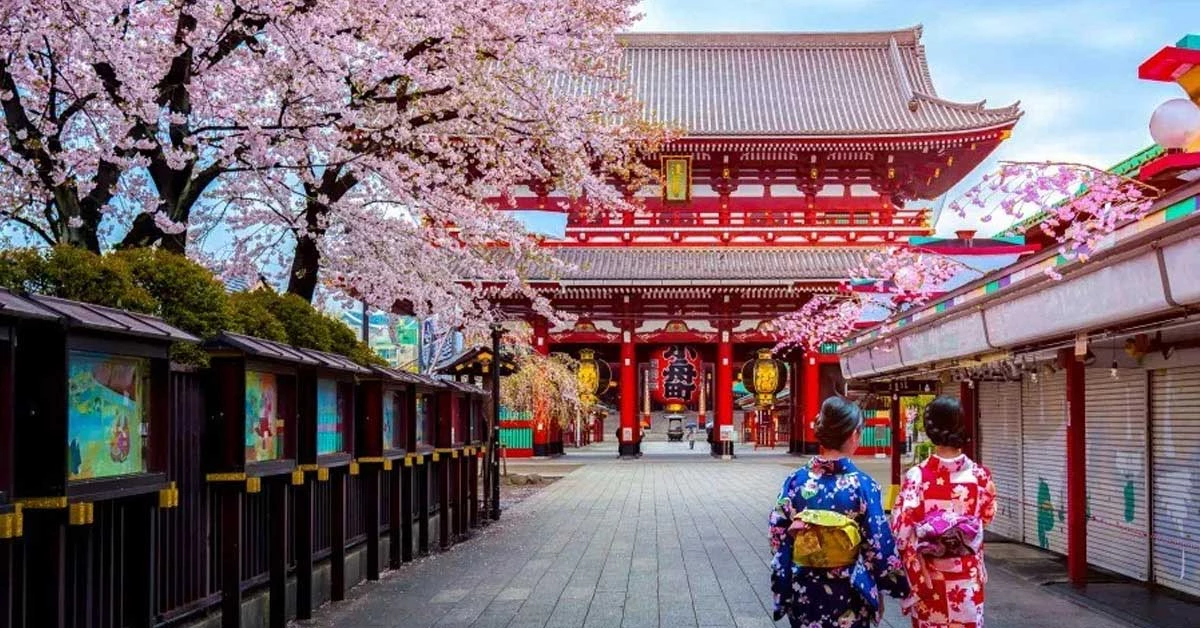 【日本】感受東京老江戶的古樸風情，淺草上野必訪、必吃、交通超詳細攻略
