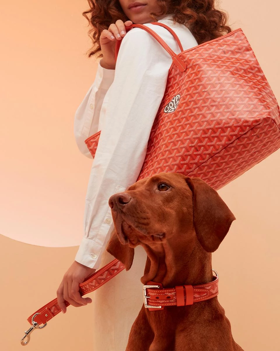 作為法國指標性的百年皮具品牌，Goyard 近日公布 2024 年財報，年營收達 8.1 億歐元（約新台幣 289 億元），較去年同期增長 64%。在全球奢侈品市場增速放緩的情況下，Goyard 仍能以如此驚人的速度成長，備受市場關注。細看營收分布，Goyard 在法國本地市場的營收為 1.77 億歐元（約新台幣 63 億元），而海外市場營收則達 6.2 億歐元（約新台幣 221 億元）。