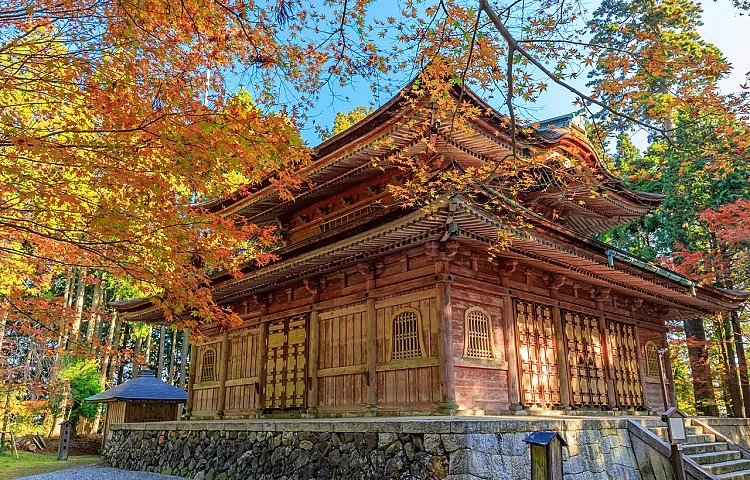 位於滋賀與京都交界的比叡山延曆寺，被譽為「日本佛教之母山」，是天台宗的發源地。每到秋天，寺院群被滿山楓紅包圍，古木與朱紅堂宇交織出莊嚴又絢爛的景致。
