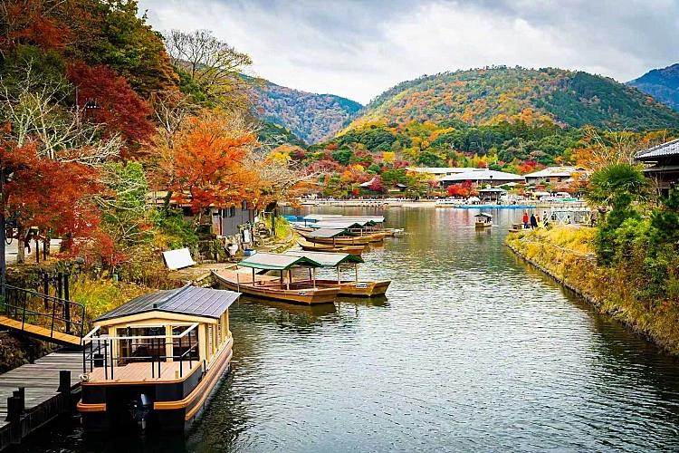位於京都西北側的「嵐山」，是京都秋日的象徵，滿山楓紅與金黃銀杏交織，映襯著桂川與古寺竹林，景色如畫。
