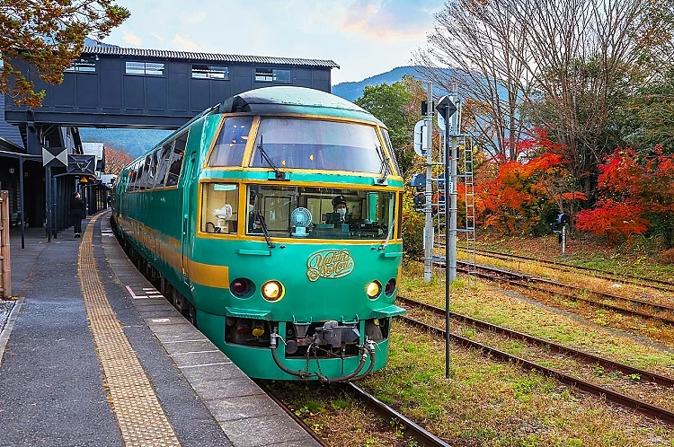 「由布院之森」是JR九州最具代表性的觀光特急列車之一，串連福岡博多與九州人氣溫泉地由布院。