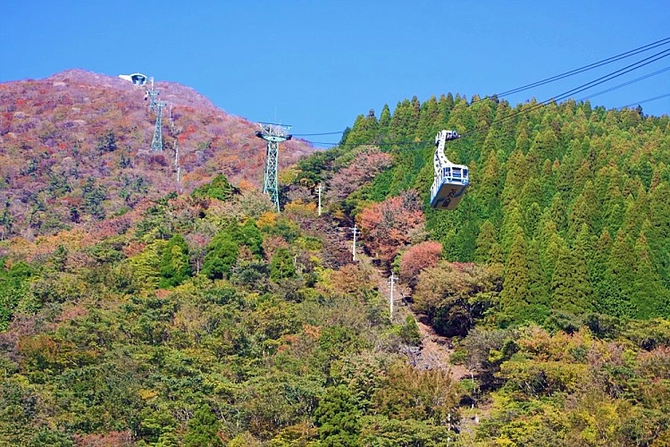 位於大分縣別府市的「別府空中纜車」連接鶴見岳山腰與山頂，全長約1.8公里，是九州規模最大的空中纜車之一。