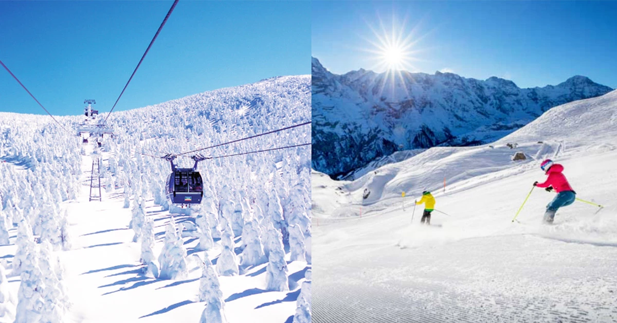 內行人不告訴你!日本、韓國、歐洲滑雪行程不藏私這樣玩