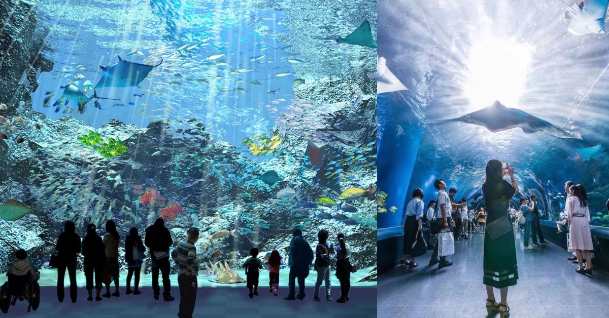 最美水族館換人當？桃園「國際級水族館」X park近4層樓透明觀景窗，成日本首座海外水族館！