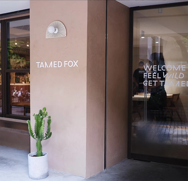 Tamed Fox 是由營養師主理人的健康早午餐品牌,在東區信義與大安兩間店皆以明亮空間與綠意戶外座位聞名。