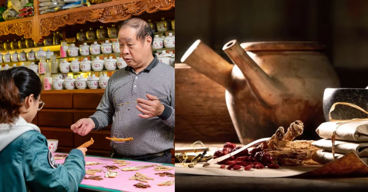 中醫師建議「4大補帖」大公開！解決氣虛、疲倦、食慾不振就靠高麗蔘