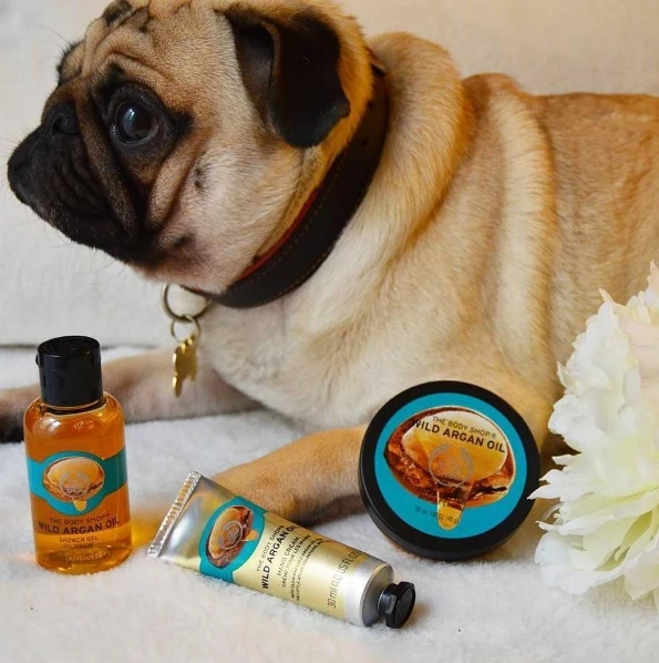 強調「不做動物試驗」的THE BODY SHOP，業績疲乏不振？老闆要換人當！ 
