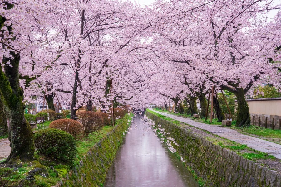 哲學之道