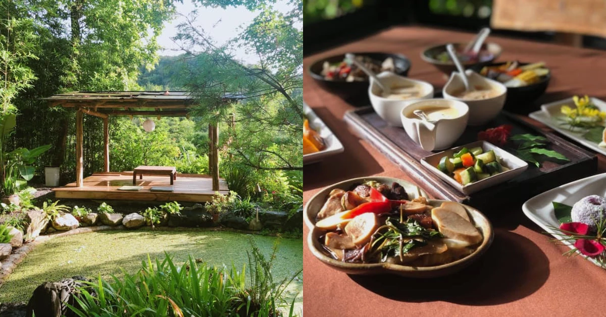 石碇區美食推薦「文山草堂」，山林裡的禪式體驗，品嚐「純素無菜單料理」太幸福