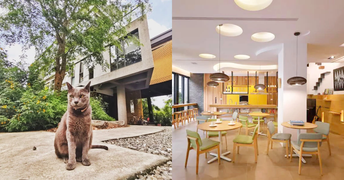 日月潭民宿推薦「朵麗絲的家」 !寵物友善旅館,Tripadvisor評為「台灣10大民宿必住」