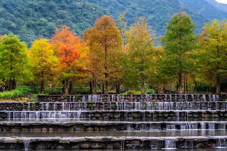 三層坪最迷人的地方，在於它並非刻意打造的景觀公園，而是順應地勢形成的階梯式農塘。原先肩負水土保持功能，園區保留大量自然樣貌，少了人工修飾，多了靜謐與留白。