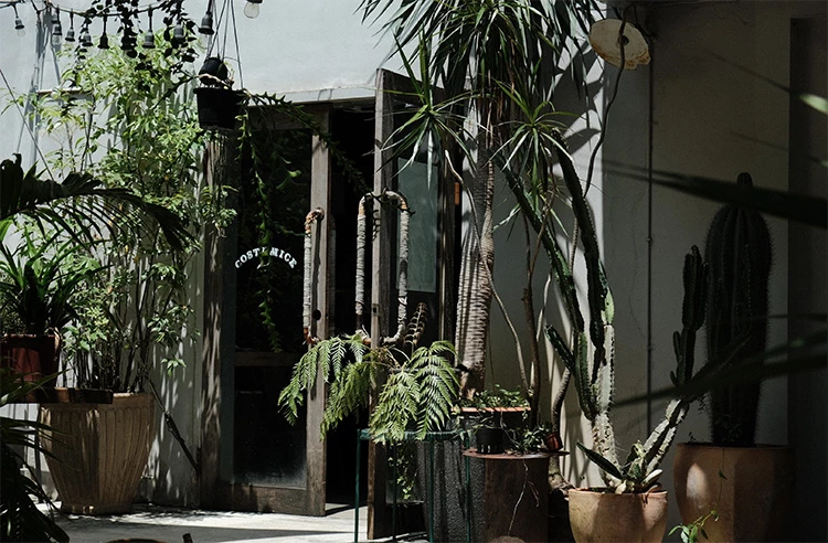 Costumice Café躲在住宅大樓後,燈牌被綠意掩映,像城市裡的一片綠洲。