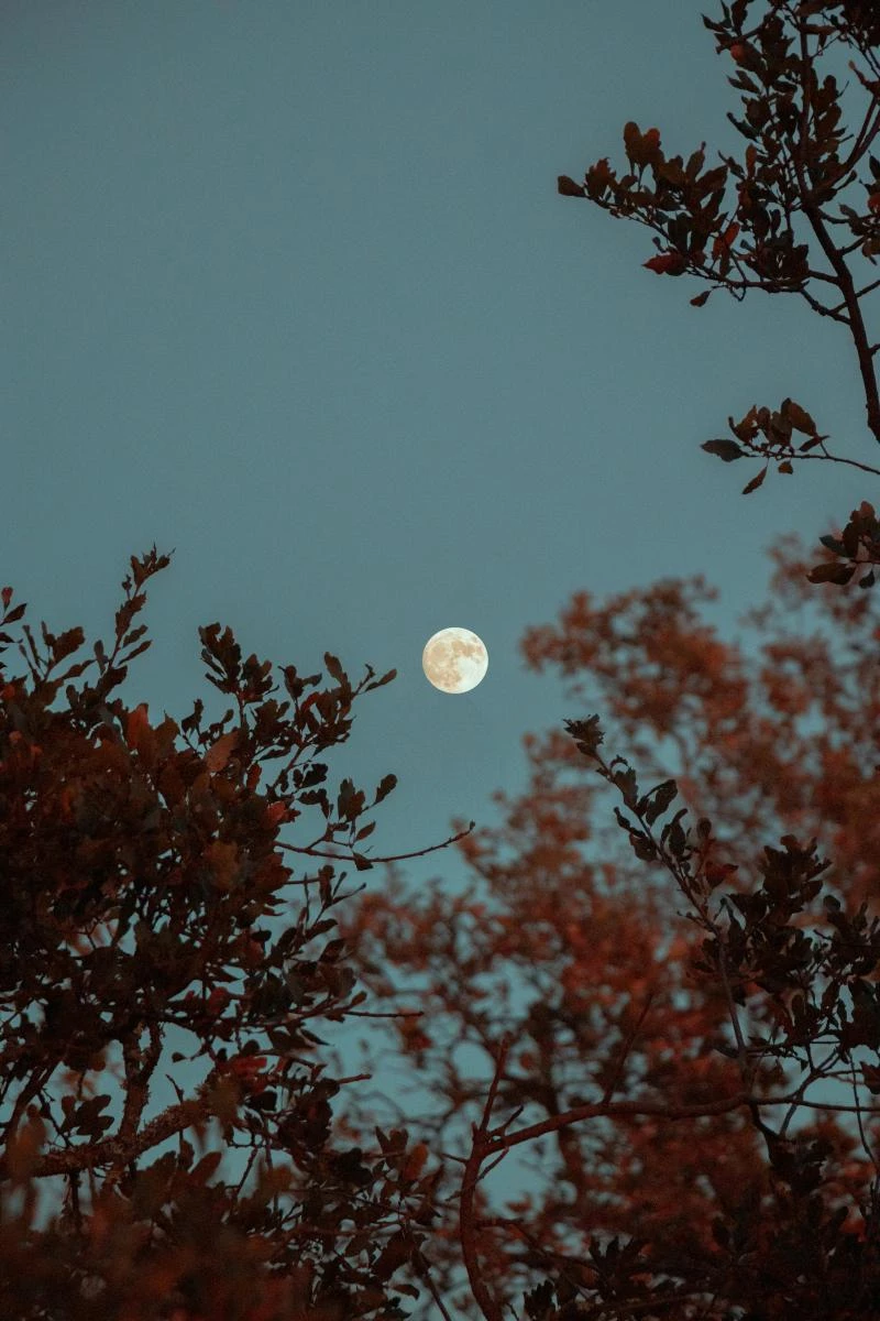 中秋的月光,不只是團圓的象徵,更是一份宇宙賜予的能量禮物。當水晶在月色中被洗滌,不僅是淨化的過程,更像是與自己重新對話的時刻。無論你是為了愛情、財富,還是單純想尋求心靈的平靜,把握一年中最澄澈的月夜,讓水晶與月亮一同閃耀,也許下一個幸運的轉折,就會悄然降臨在你的生活裡。