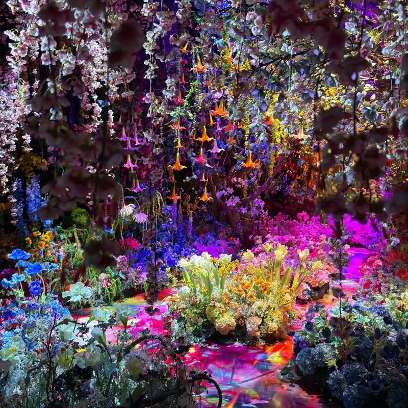 作為日本當代最具影響力的藝術家之一,蜷川實花(Mika Ninagawa)擅長以鮮豔強烈的色彩與華麗飽和的構圖,建構介於現實與幻覺之間的視覺夢境空間。她的創作橫跨攝影、電影、時尚、影像與空間裝置藝術等領域。蜷川常以花朵、女性、金魚等象徵生命短暫與美麗的主題為核心,運用紅、粉、藍、金等鮮亮色調,形成強烈的視覺衝擊,同時回應當代社會與觀者的內心情感。