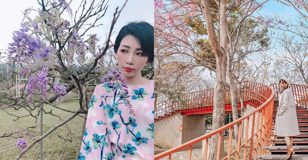 網羅全台「洋紅風鈴木」景點整理,洗版IG粉紅棉花糖3大景點就在這