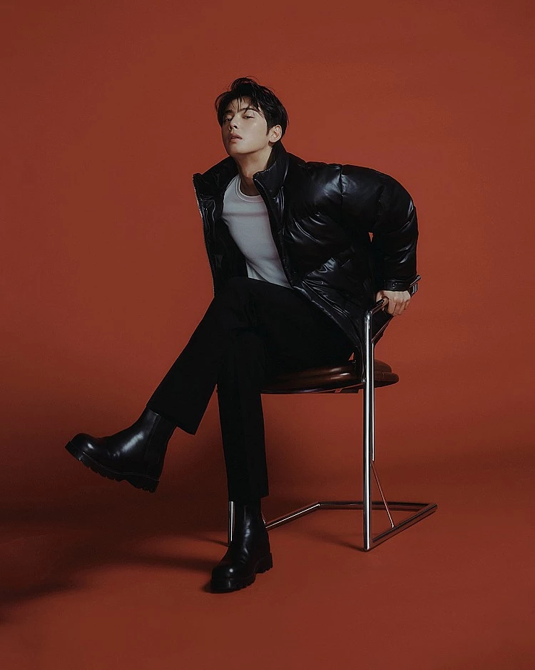 「臉蛋天才」車銀優再次拿下「K-pop最帥男星Top1」寶座，果然毫無懸念！精緻的五官與貴族氣質讓他從出道以來一直是話題焦點，不論在樂壇、影壇或時尚圈都交出亮眼成績，甚至流傳一句名言：「本命是本命，車銀優是車銀優」