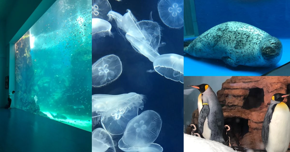 「Xpark」挾帶日本驚人創意迎戰台灣水族館市場!桃園青埔店8/7開幕前搶先直擊!