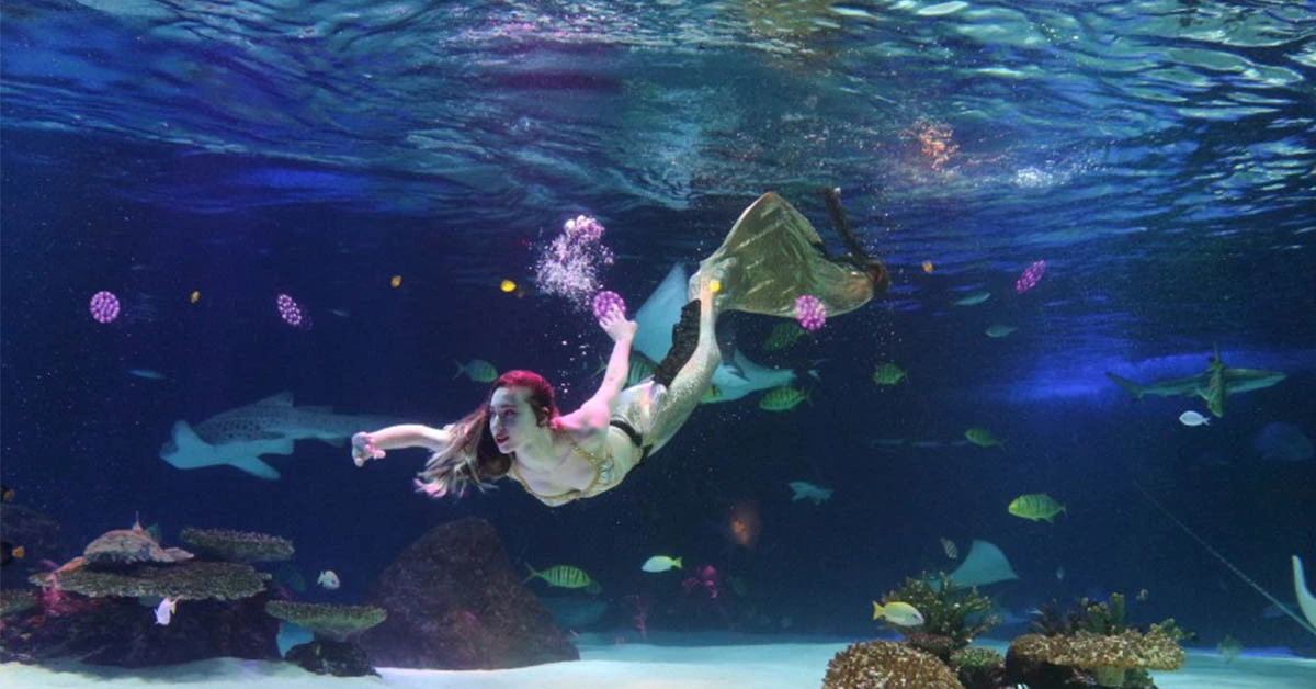 【韓國】首爾汝夷島63大廈展望台、海洋世界水族館,交通、線上優惠門票預訂、夜景推薦