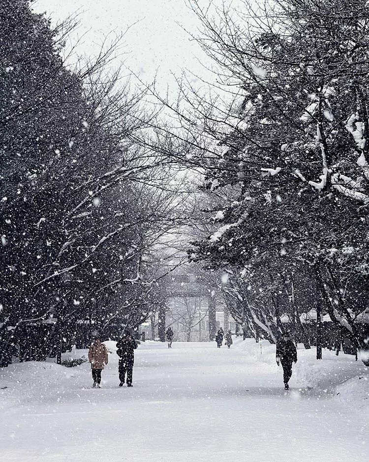 泰國獅航將首度開通札幌航線,每週三班,為冬季雪旅添上新選項