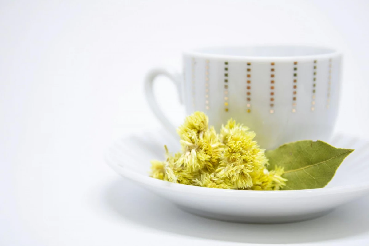 古人有「登高賞菊、飲菊花酒」