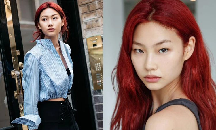 Hoyeon Jung