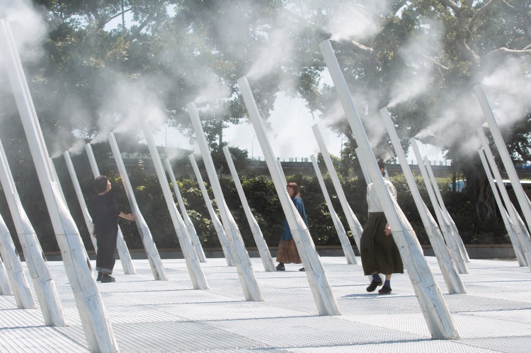 2024年X-site 《林木林》坐落於北美館前的戶外廣場，環境主要以青色的蛇紋岩板鋪就而成，被周邊繁雜的交通網絡與人造景觀所圍繞，並夾雜著零星的自然。