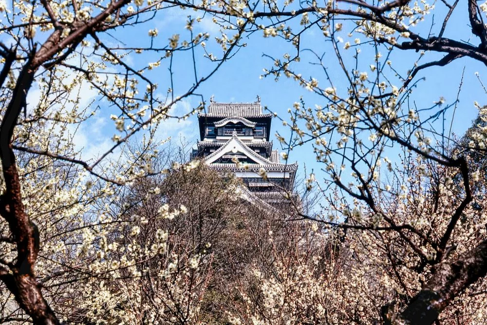 虎航將於今年底推出全新航線,從台南往返日本「熊本」,首航日期訂於 12 月 23 日,規劃每週二、五飛航。儘管票價尚未公布,但可參考虎航從桃園機場飛往日本九州地區的票價,平均落在新台幣 3,000 元至 6,000 元之間。預料將提供早鳥票,票價有機會低於新台幣 3,000 元,吸引台灣中部以南的旅客搭乘。