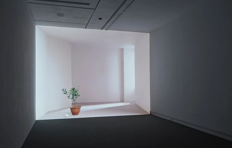 王雅慧，《日光下的靜物》，2005，錄像裝置，4分36秒。臺北市立美術館典藏。