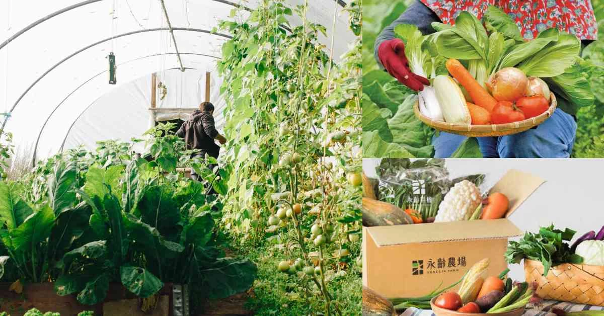 線上「有機蔬菜」推薦Top7!「北農嚴選」16樣蔬菜太澎湃,郭董「永齡農場」標榜全台最大有機園區