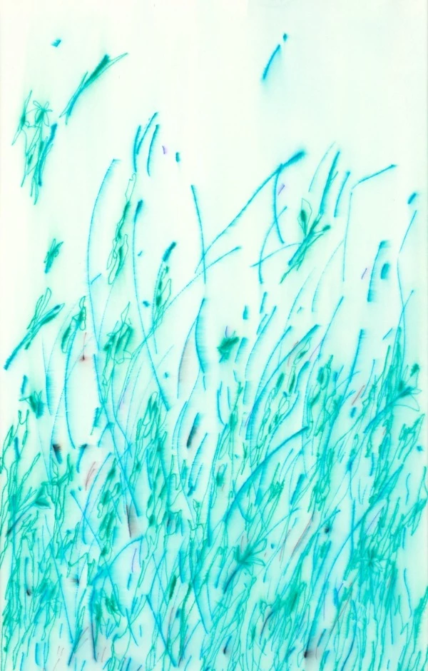 謝榕蔚,昨日與蜜蜂 Yesterday and the Bees