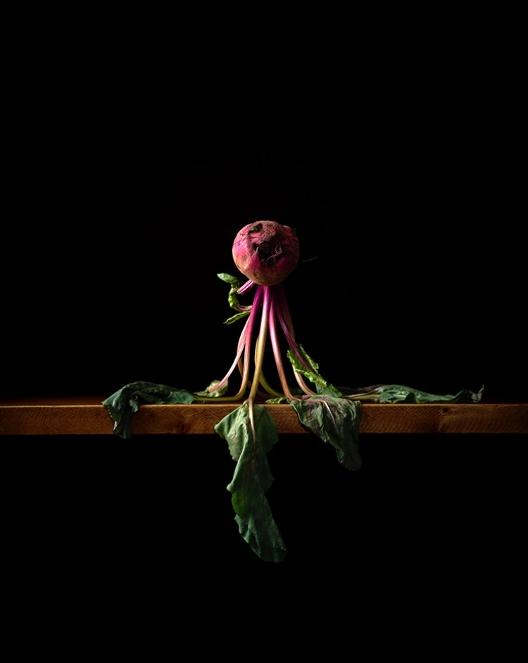 板谷麗 Rei ITAYA,甜菜沙拉 Beet Salad
