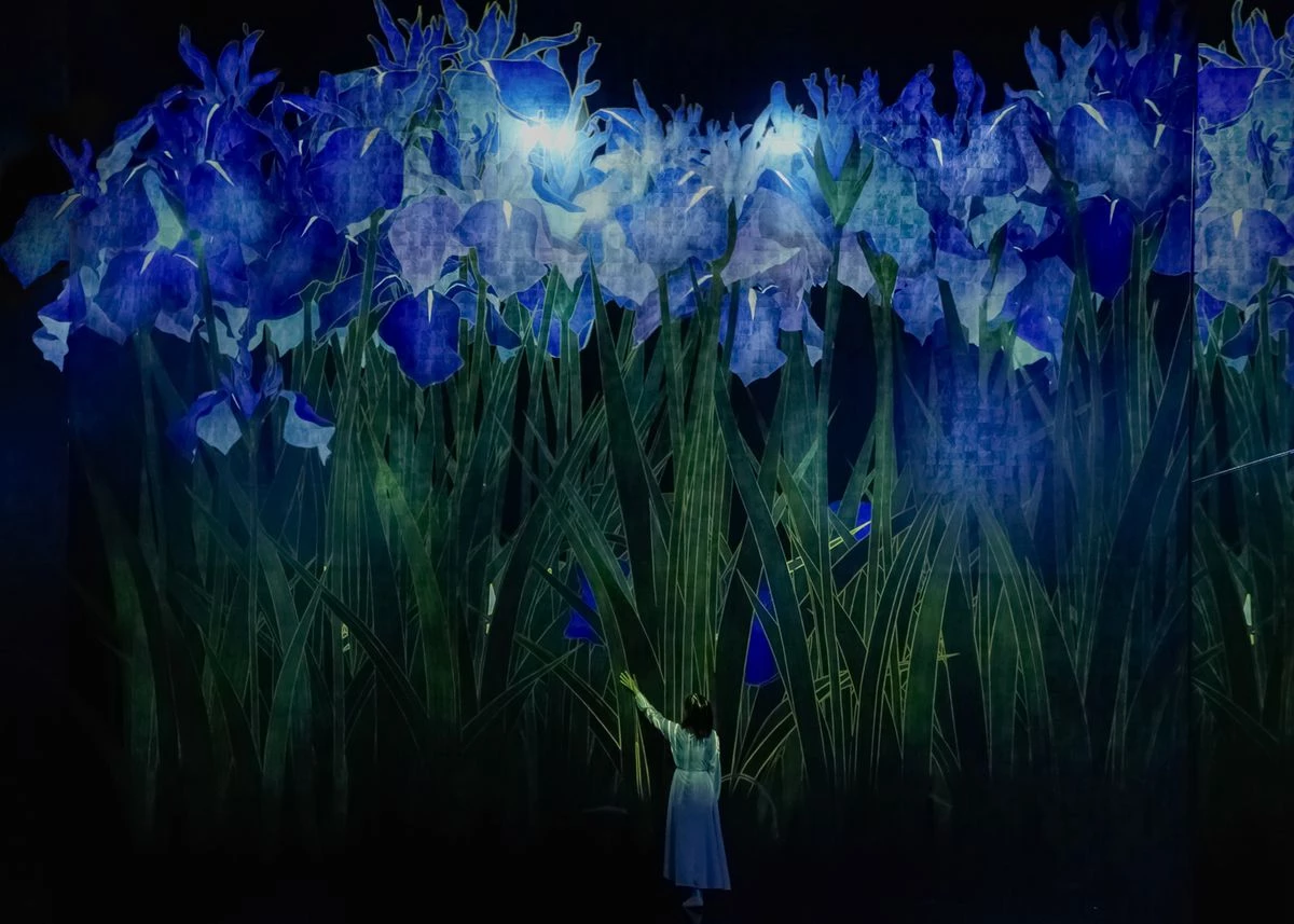 沉浸式藝術迷注意!日本最大規模的 teamLab 將於今年 10 月在京都盛大開幕,命名為:teamLab Biovortex Kyoto,其美術館佔地超過 10,000 平方公尺,融合自然、光影與數位科技,打造顛覆感官體驗的藝術空間,帶你一次掌握:必看亮點、門票價格、交通方式。或許,能成為你下一次造訪日本的原因之一。