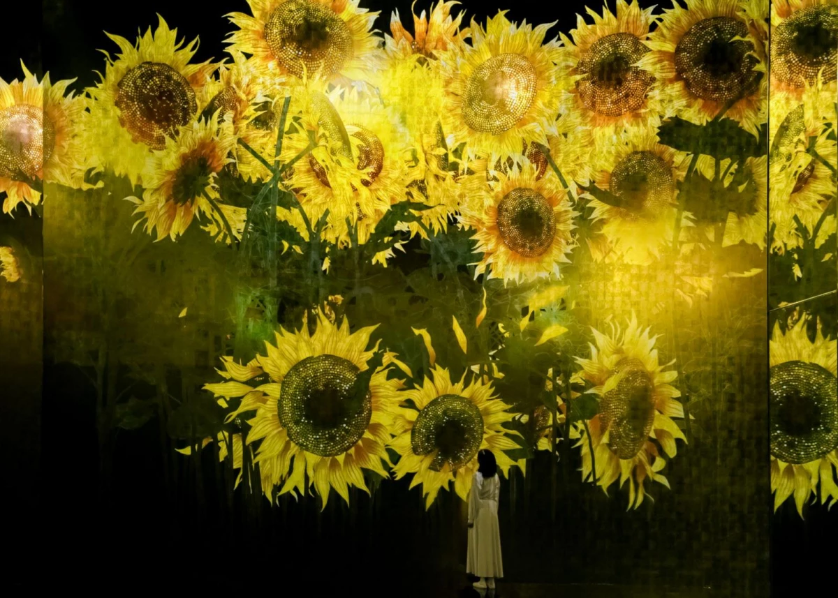 teamLab Biovortex Kyoto 一張成人票價落在日幣 3,600 元至 4,400 元(約新台幣 750 元至 900 元),青少年票價(13 歲至 17 歲)為日幣 2,800 元(約新台幣 580 元),兒童票價(4 歲至 12 歲)為日幣 1,800 元(約新台幣 370 元),殘障人士票價落在日幣 1,800 元至 2,200 元(約新台幣 370 元至 450 元),更多購票資訊:詳見官網。