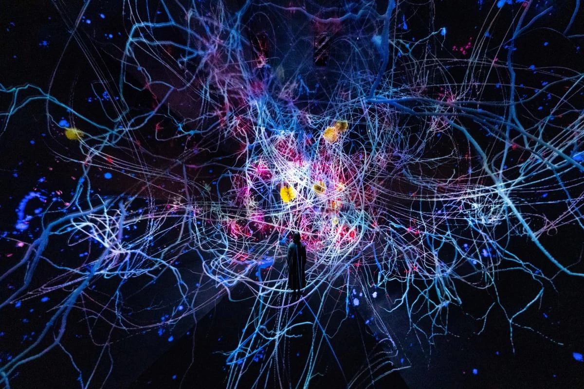 teamLab Biovortex Kyoto 一張成人票價落在日幣 3,600 元至 4,400 元(約新台幣 750 元至 900 元),青少年票價(13 歲至 17 歲)為日幣 2,800 元(約新台幣 580 元),兒童票價(4 歲至 12 歲)為日幣 1,800 元(約新台幣 370 元),殘障人士票價落在日幣 1,800 元至 2,200 元(約新台幣 370 元至 450 元),更多購票資訊:詳見官網。