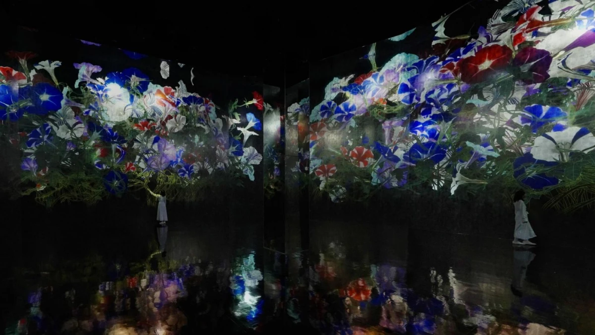 teamLab Biovortex Kyoto 距離京都車站步行時間約 9 分鐘,不論是搭乘 JR、地鐵,或是公車都相當方便。機能上,京都車站不僅有提供美味的餐廳,也有許多商店,而一旁還有大空廣場、東本願寺,也能為來到這裡的旅人,提供更多元的旅行體驗,不單單只是逛 teamLab,也創造更多停留的可能性,豐富旅行故事。