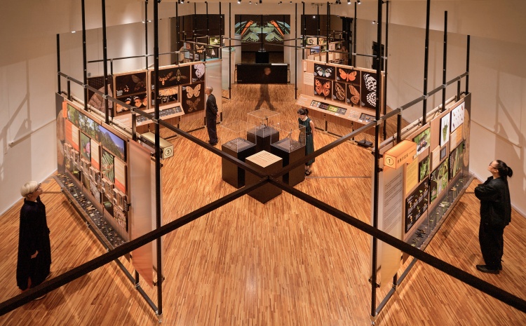 空間設計採模組化金屬骨架與洞洞板，兼具輕量、永續與可重複使用特性，呼應博物館的低碳目標。動線上以開放的「X 型」流動路徑打破傳統展場觀看方式。