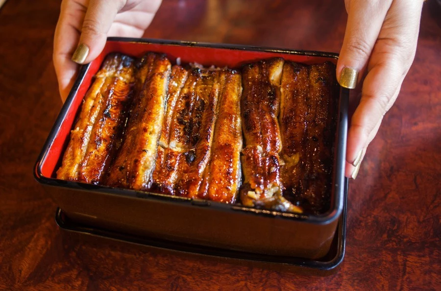 鰻魚飯