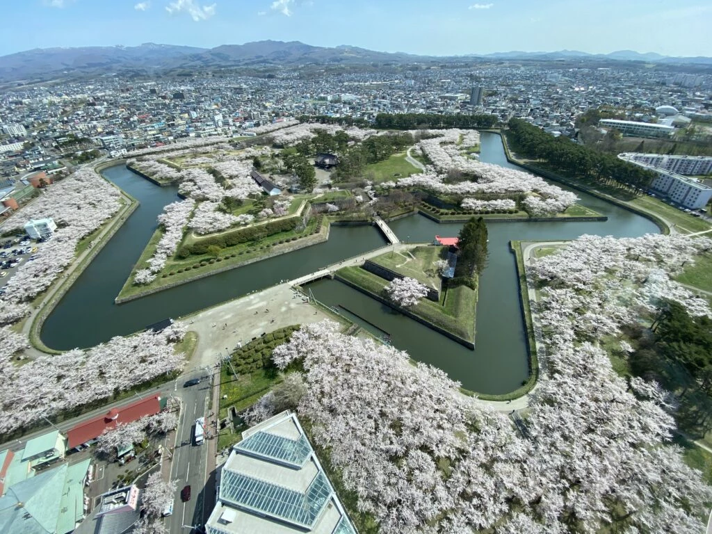 北海道最著名的賞櫻景點之一五稜郭公園,以獨特的星形要塞結構聞名。在春季賞櫻期間,粉色櫻花圍繞著歷史防禦工事,夜晚燈光映照下更顯景觀震撼。由於北海道地處北方,櫻花季相對較晚開始,一般集中在四月底至五月初左右,適合作為延長日本櫻花行程尾段的亮點選擇。