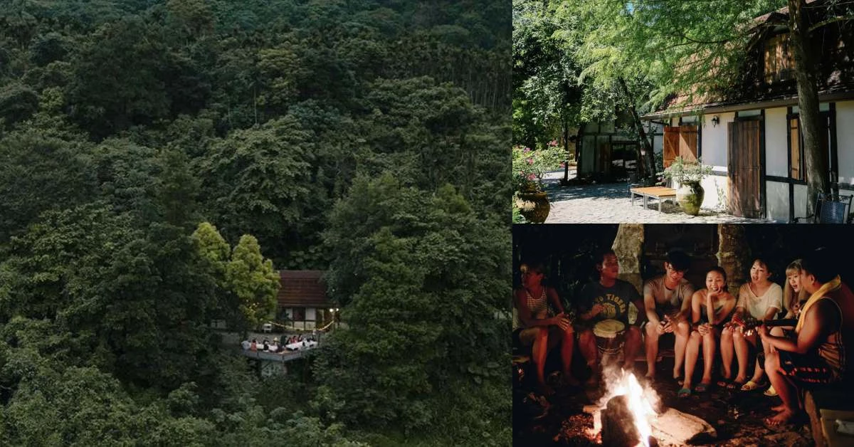 花蓮「梯田山民宿」獲全球十大最美房型!蟲鳴蛙叫作伴,還看得到山羌,最適合