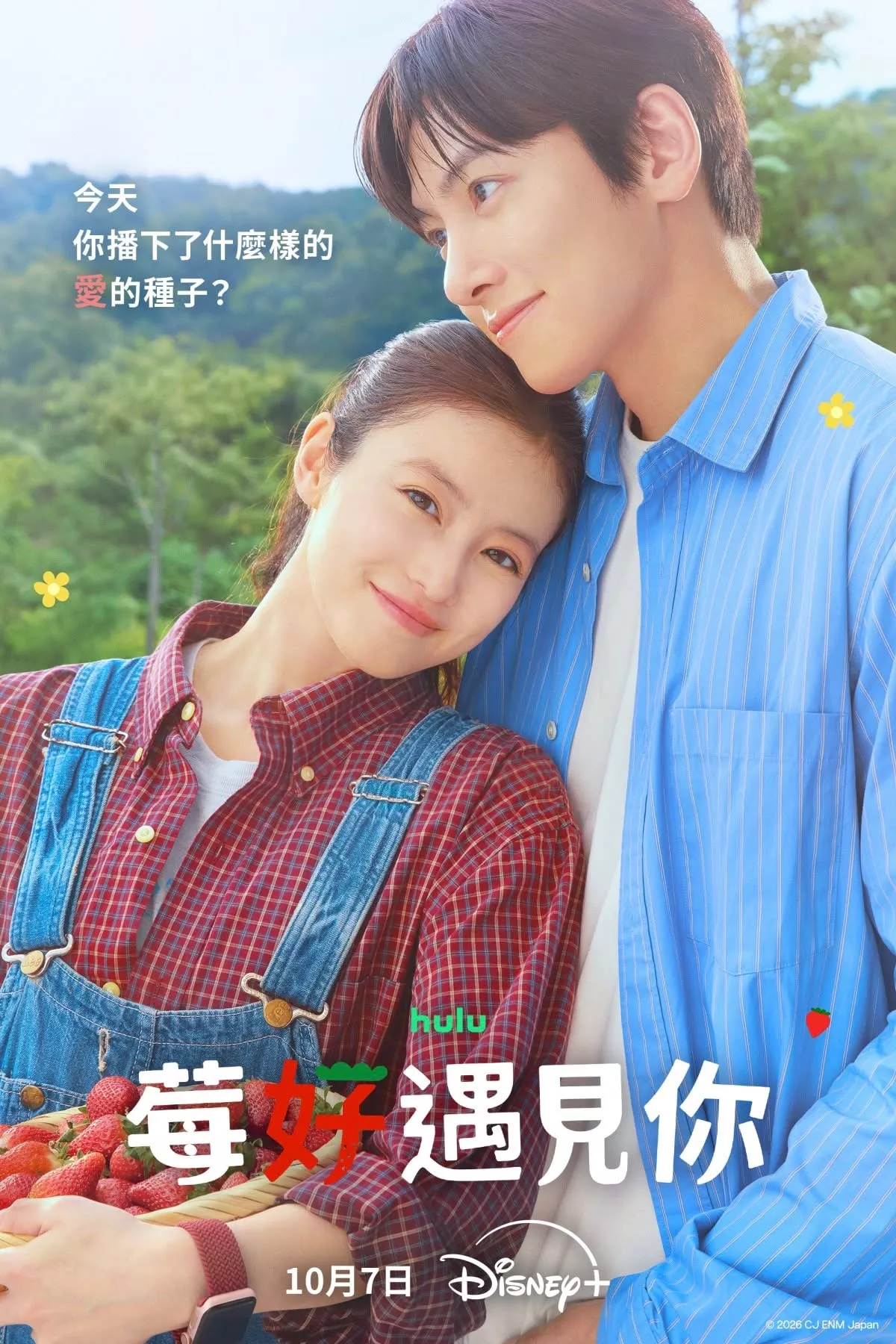 《莓好遇見你》由《語意錯誤》導演金率挺、《無用的謊言》導演盧咏燮共同執導,並由《離婚保險》編劇李載允操刀劇本。故事描述一位追求完美的韓國空間設計師李有彬原本事業成功,卻因突發事件一夕失去原本的人生,輾轉來到日本小島「茶呂島」。沒想到他誤闖小農白浜花梨所經營的草莓農場,甚至偷吃她悉心栽培的草莓,最後只好留下打工賠償,也讓兩人從互看不順眼一路發展成跨國戀情。