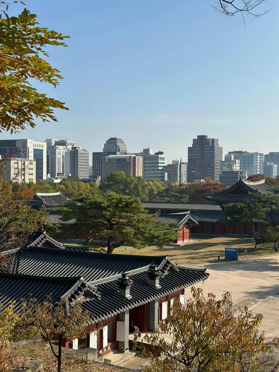 若把目光放向海外，台灣旅客的跨年首選依舊圍繞在亞洲大城市。