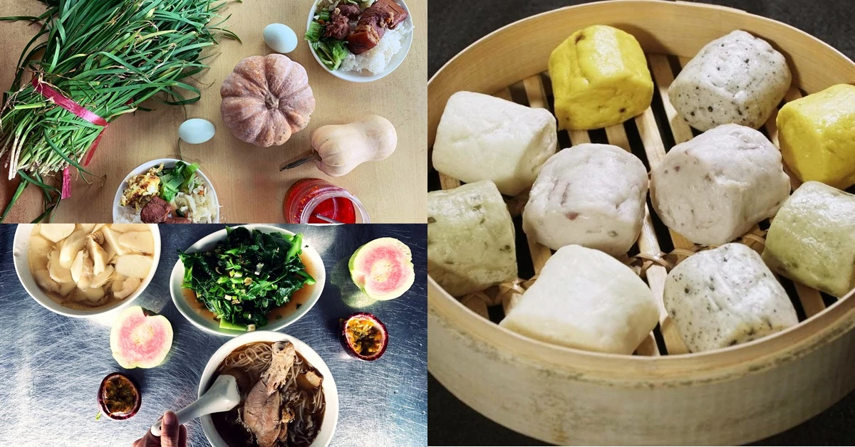 上陽明山來碗麻油雞吧!三款神祕美味:二姊的店、草山風情藥膳餐廳、21號小饅頭手作坊